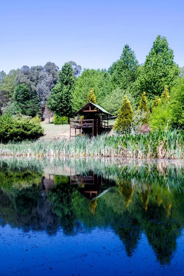 Meadow Lane Country Cottages Андерберґ Екстер'єр фото